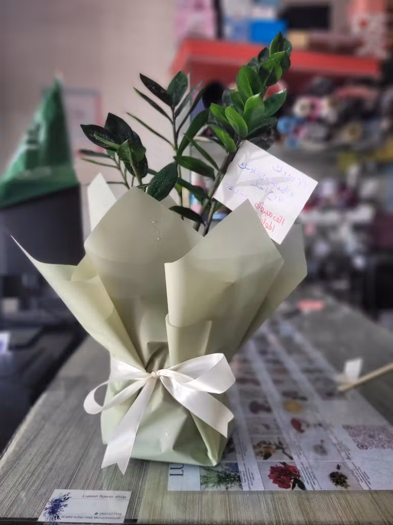 tree for room