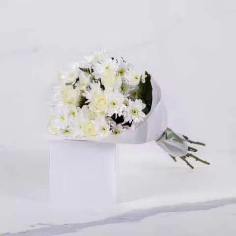 classic white 