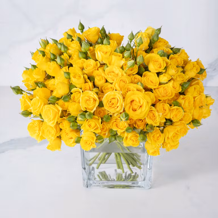 yellow mix rose 