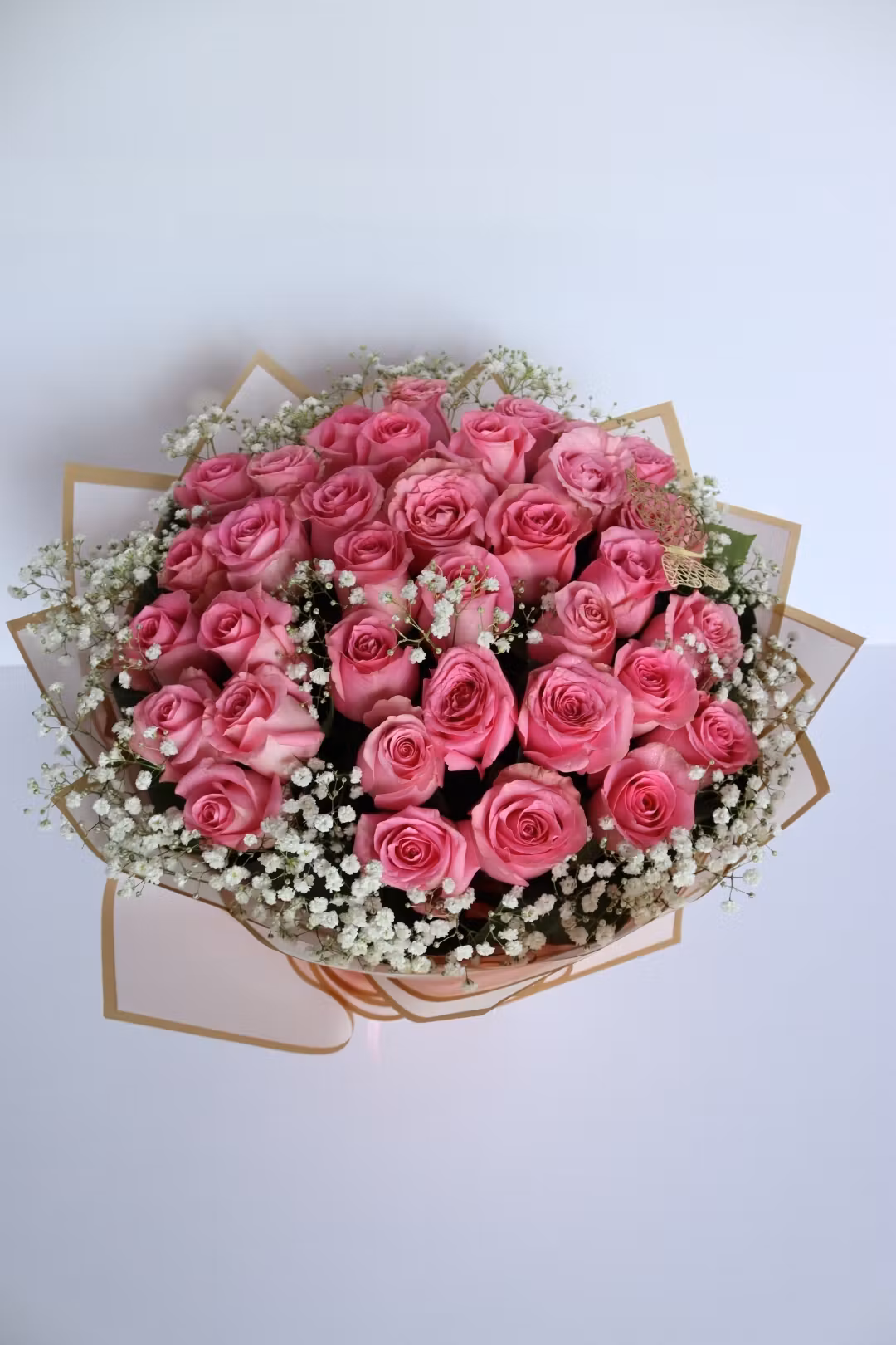 pink rose