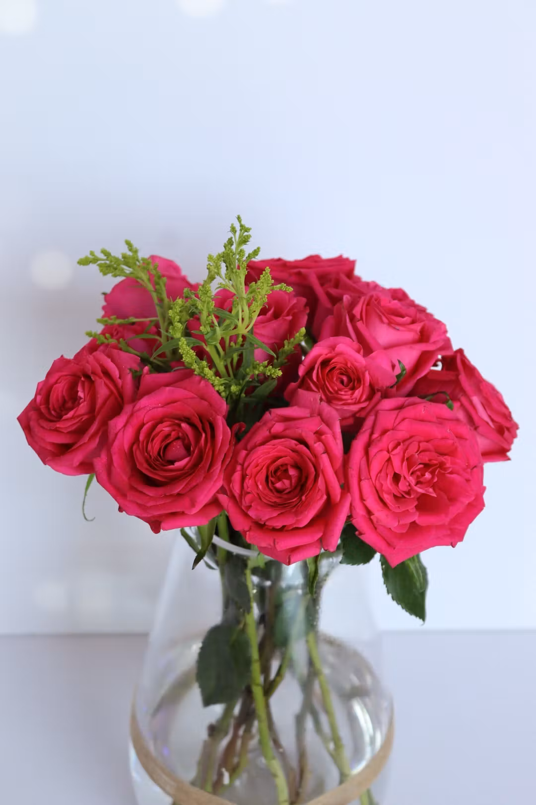 fuchi rose