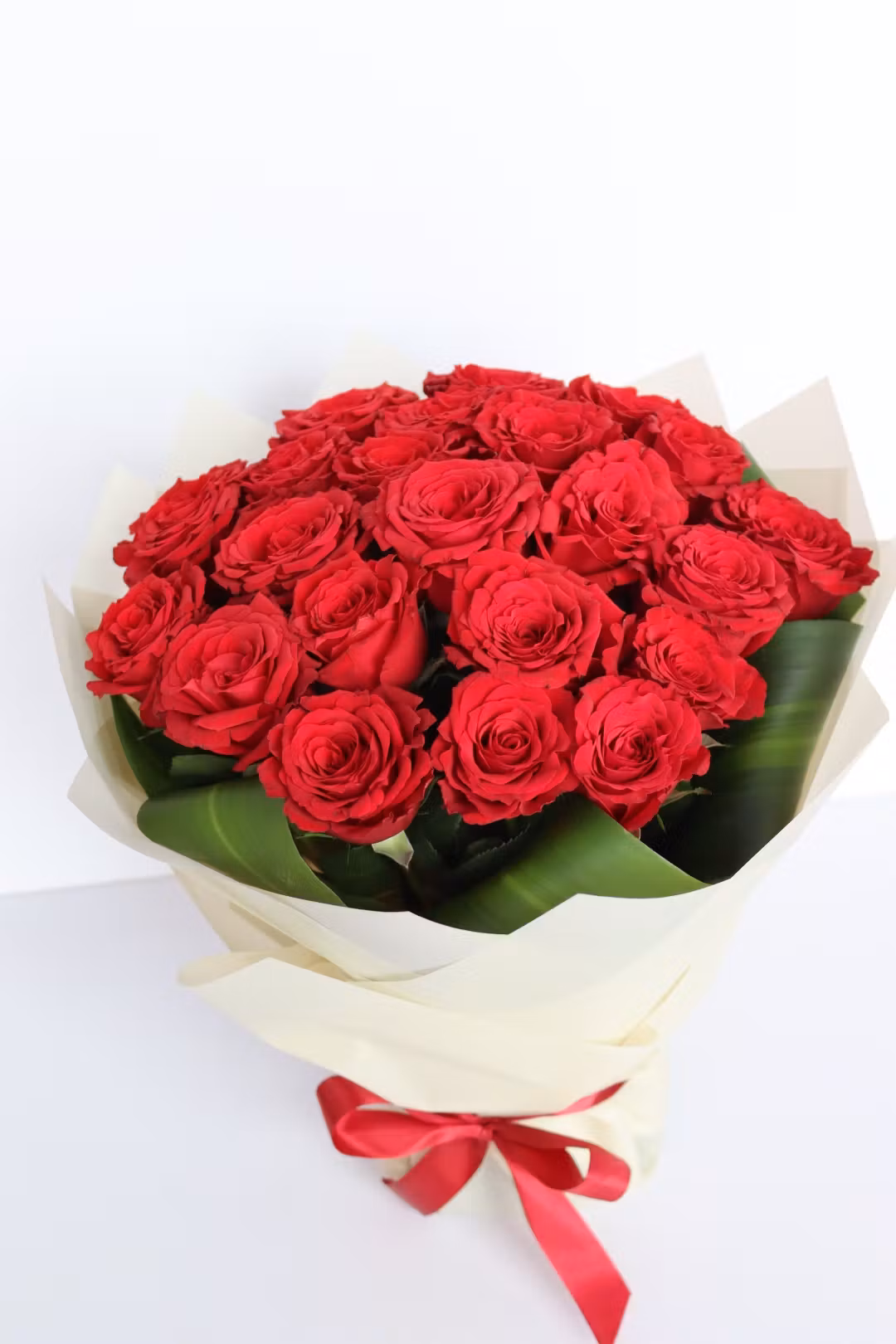 red rose