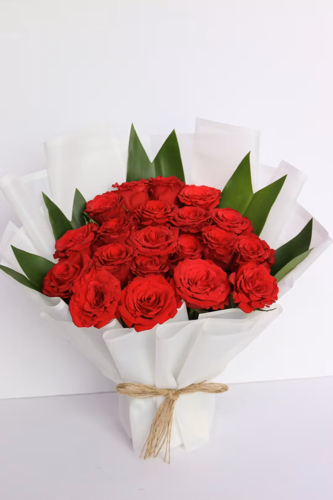 red rose