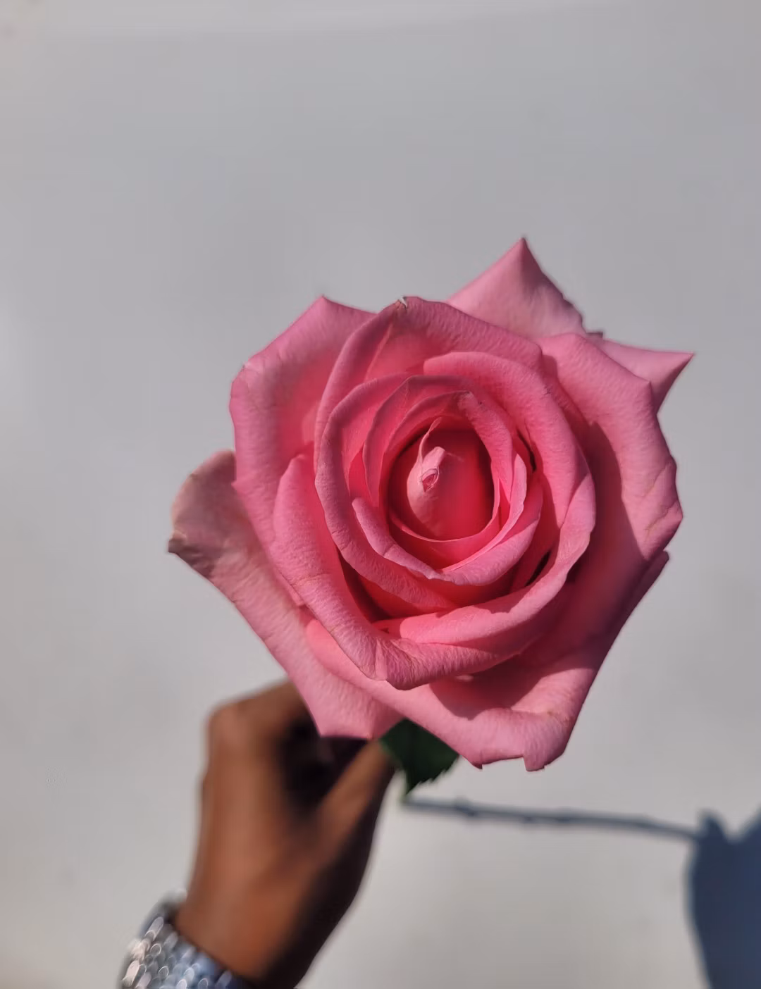 PINK MIX