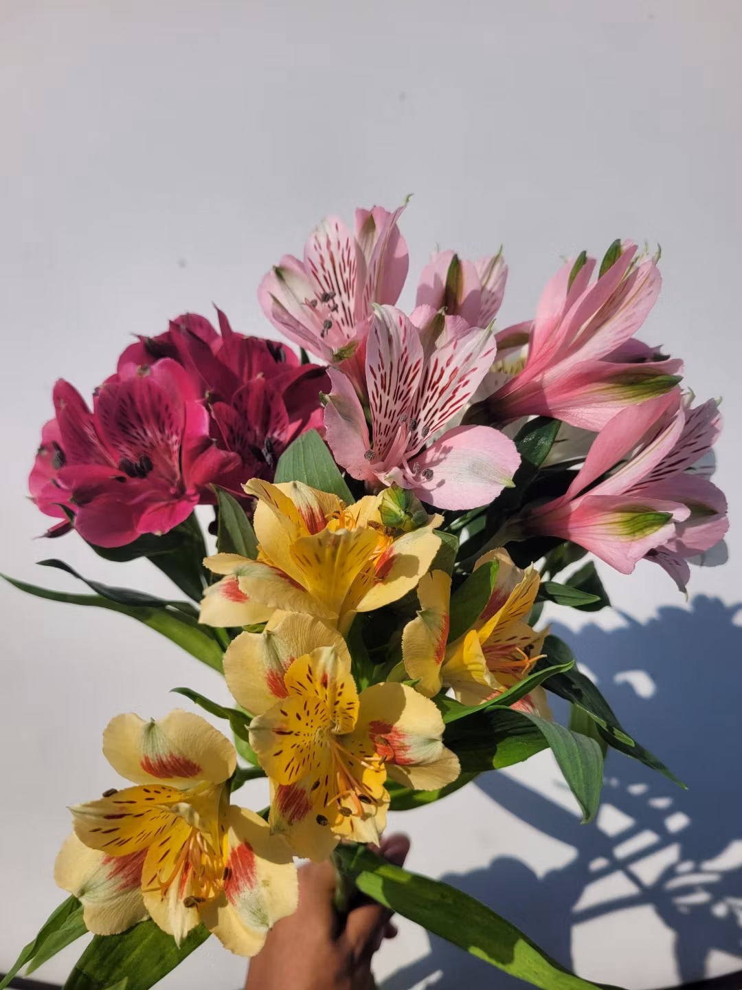 FLOWERS