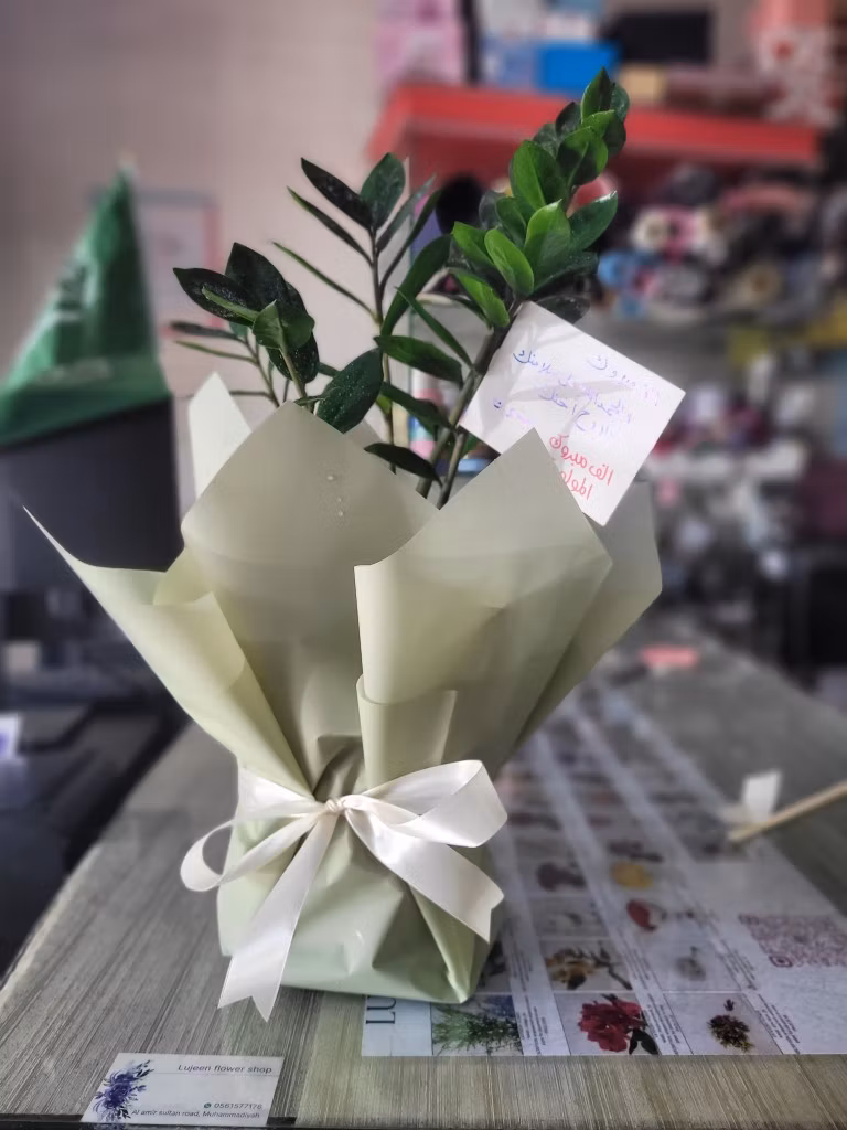 tree for room