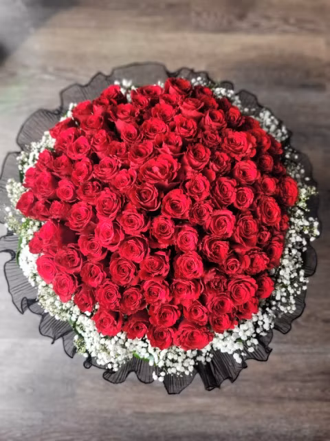 red rose