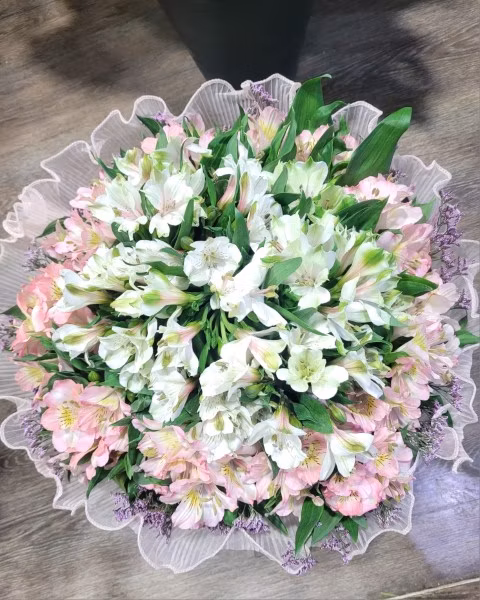 white & pink