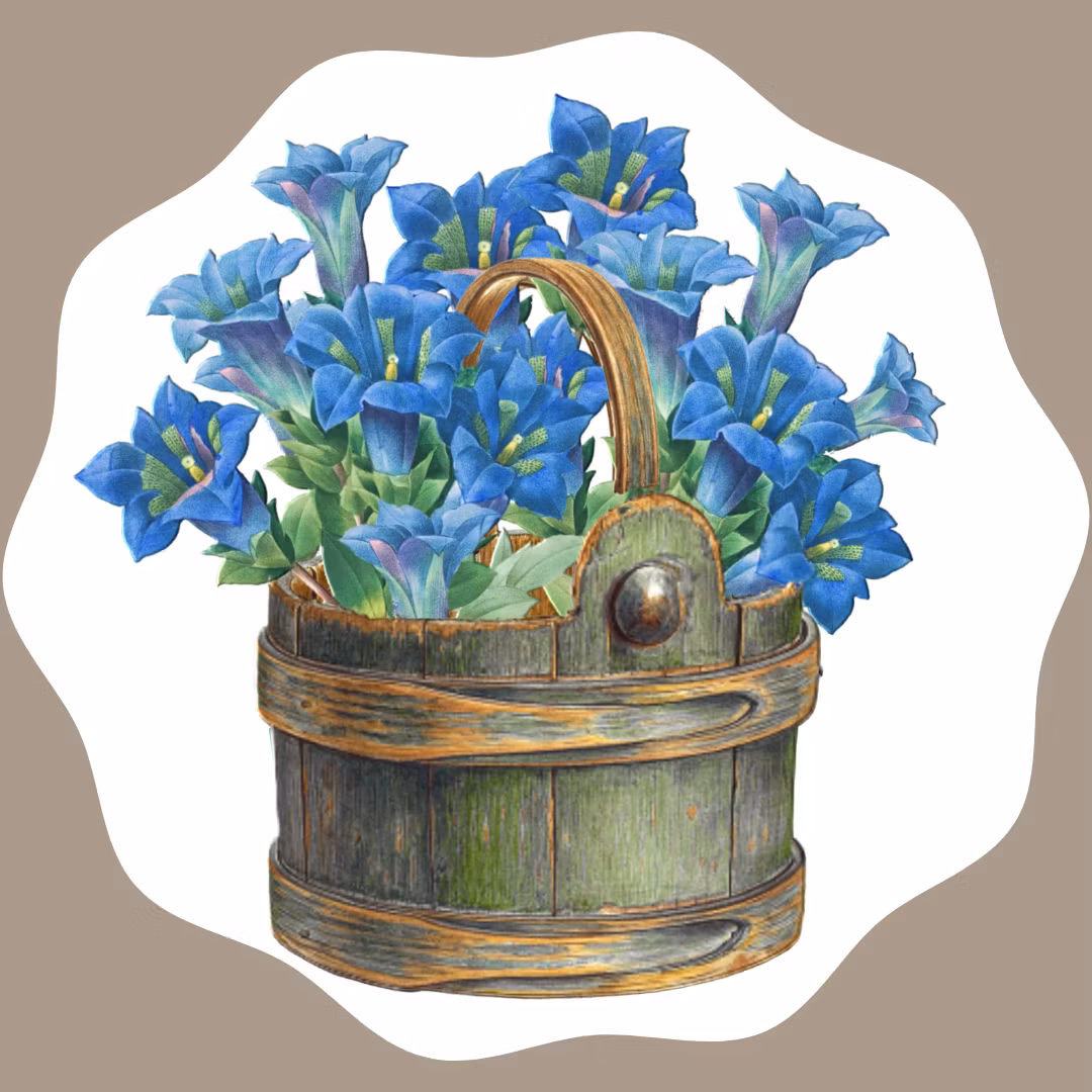 flower basket