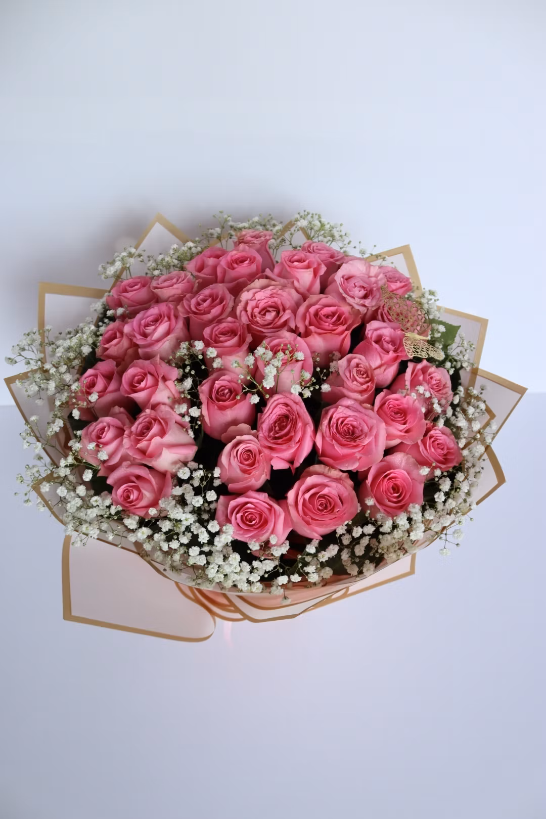 pink rose