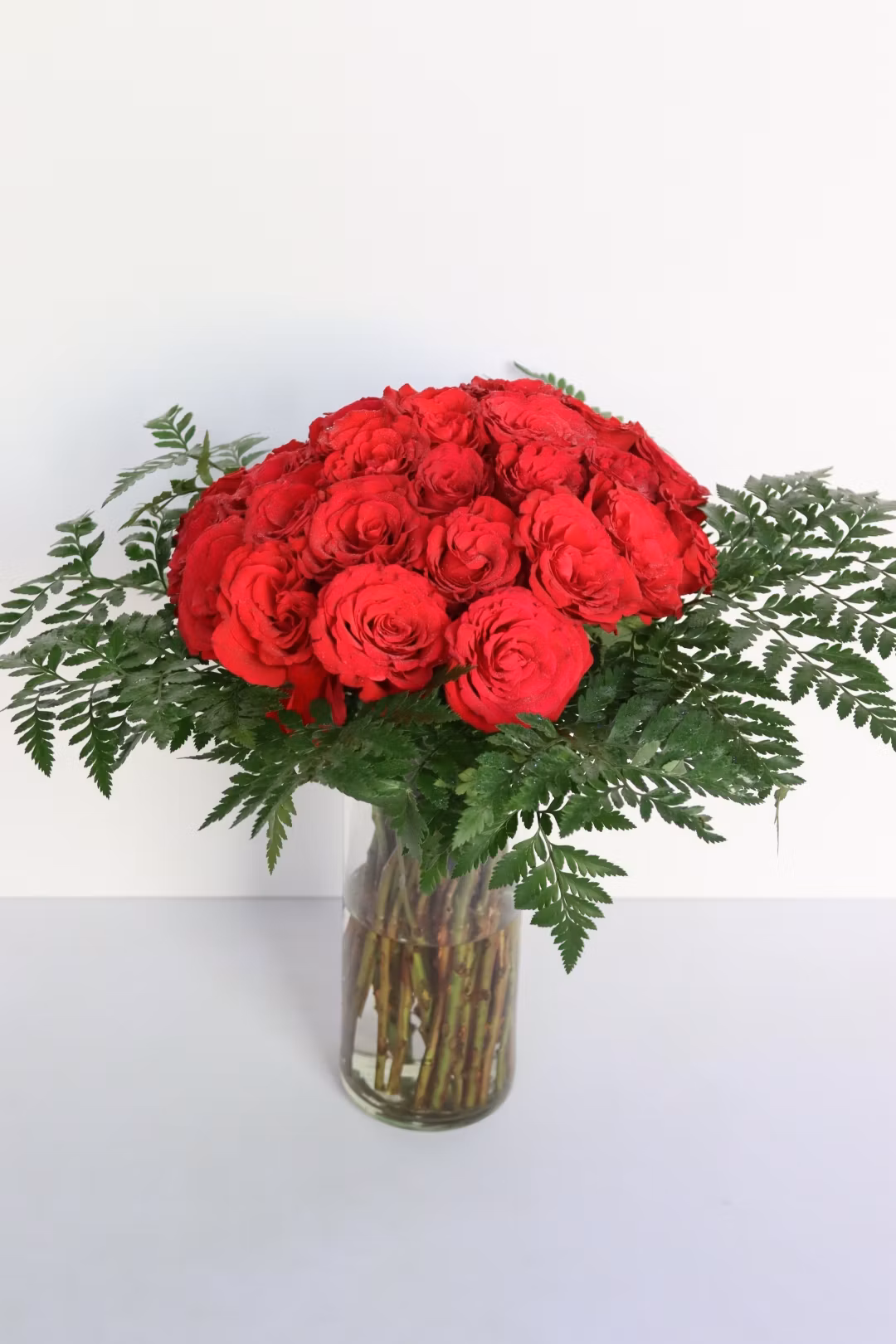 red rose
