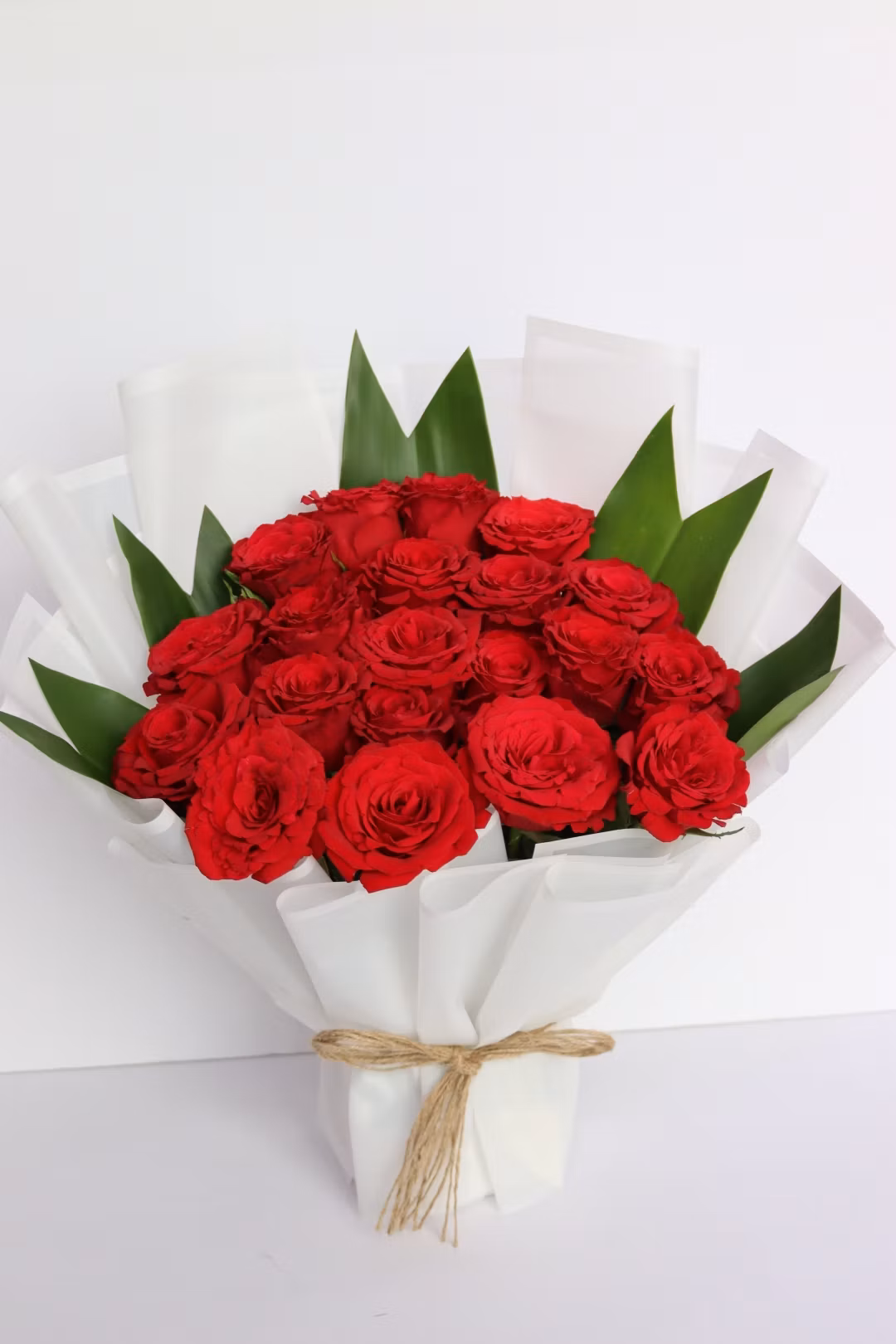 red rose