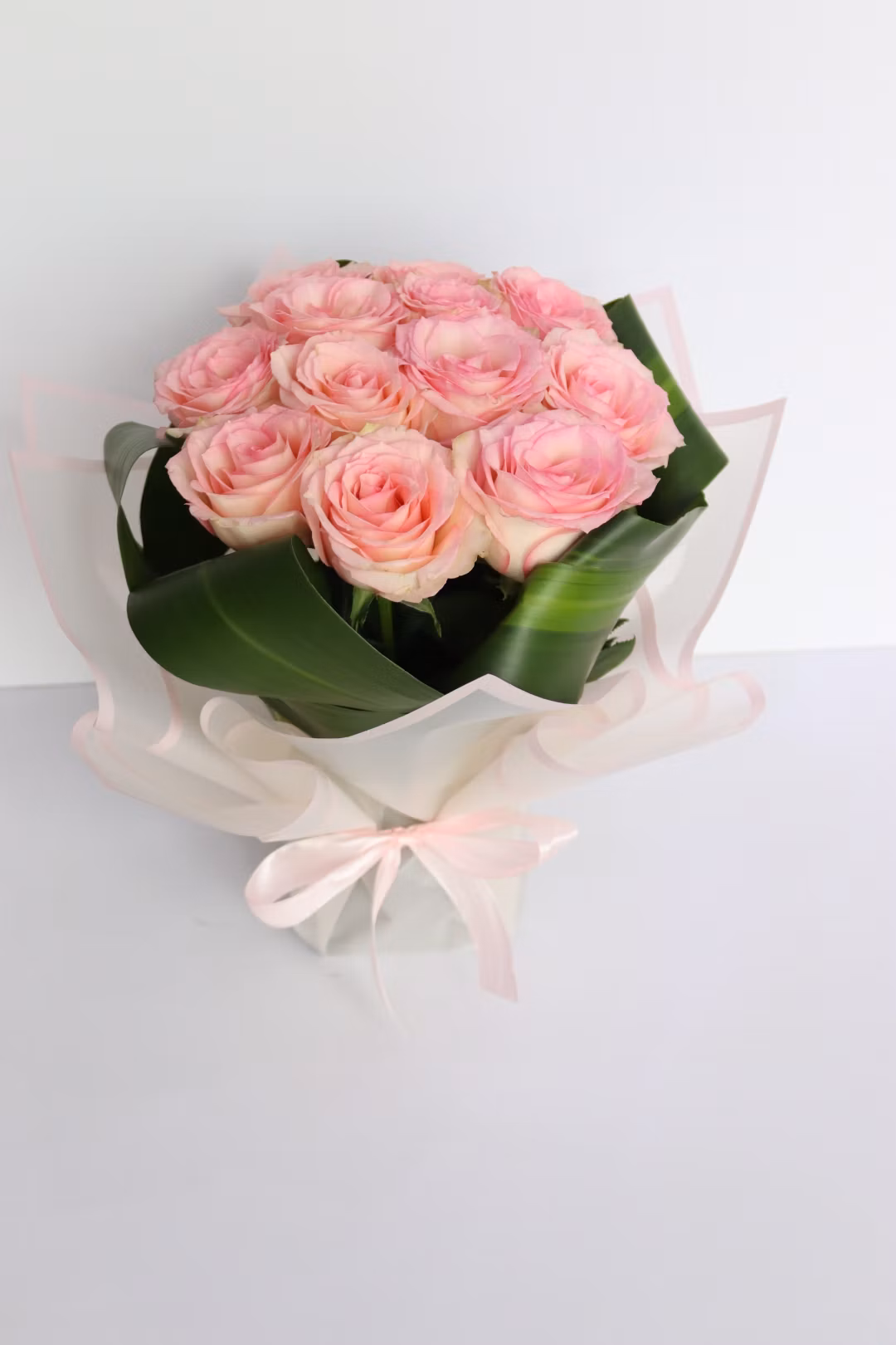 pink  rose