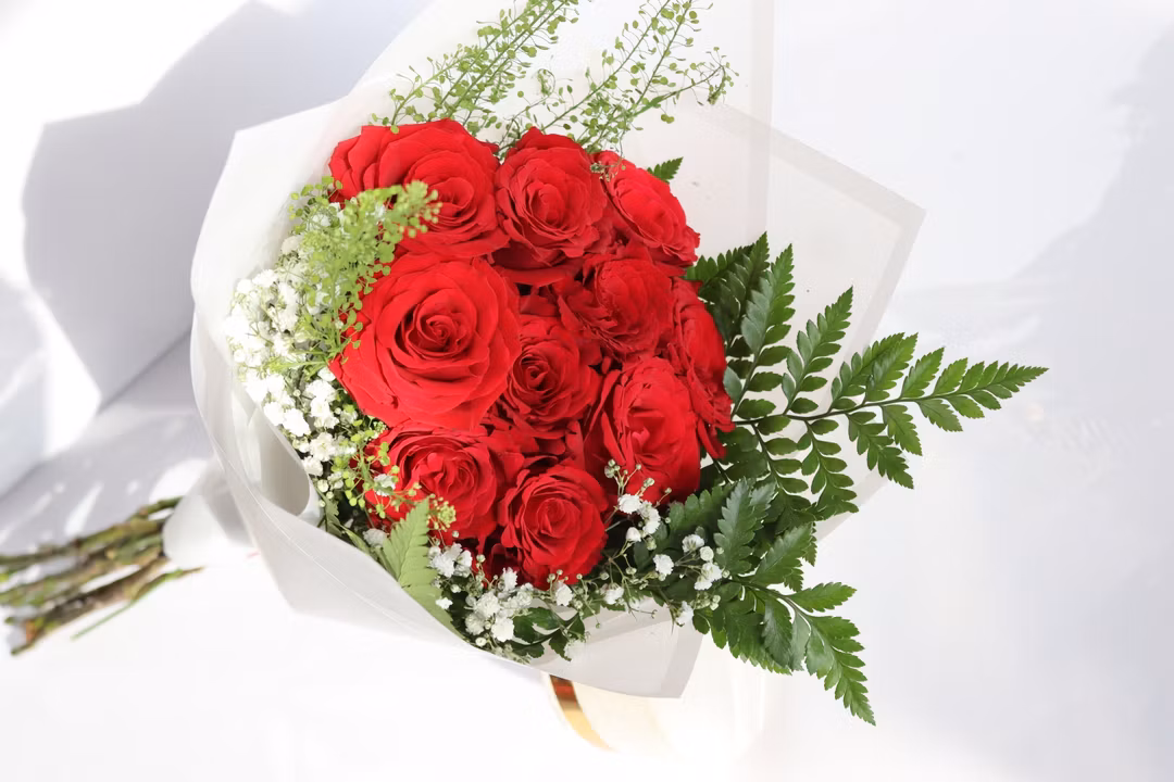 red rose